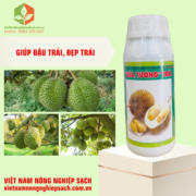 SỬA TƯỚNG TRÁI (3)