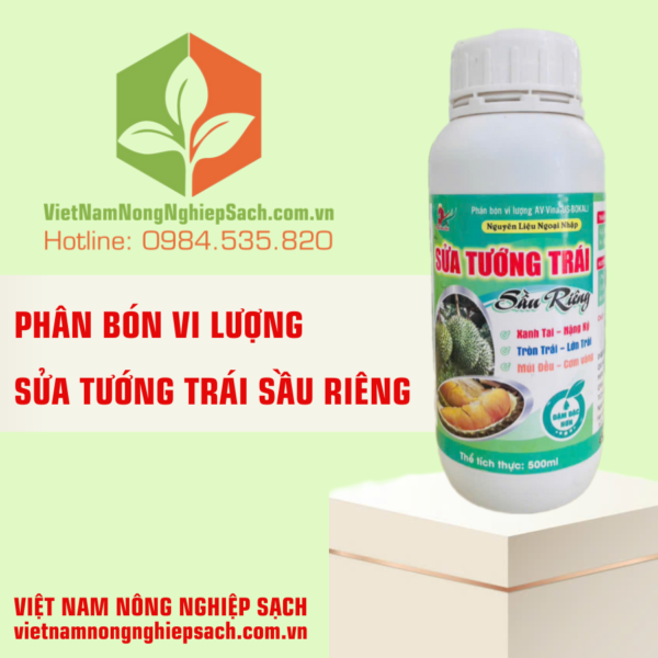 SỬA TƯỚNG TRÁI SẦU RIÊNG