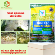 TANIXA FLOWER MAX (3)