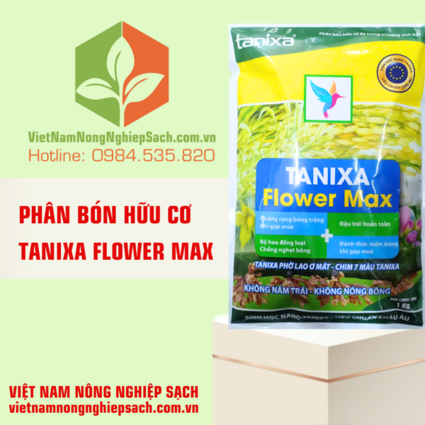 TANIXA FLOWER MAX