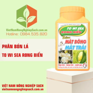 TO WI SEA RONG BIỂN