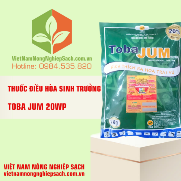 TOBA JUM 20WP