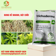 TRICHODERMA (3)