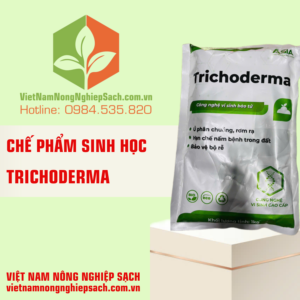 TRICHODERMA