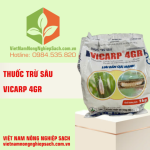 VICARP 4GR