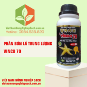 VINCO 79