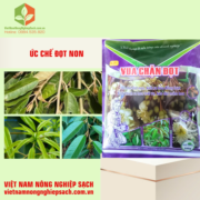 VUA CHẶN ĐỌT (3)