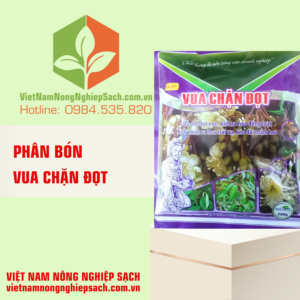 VUA CHẶN ĐỌT