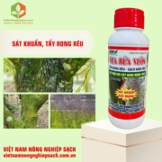 VUA RỬA VƯỜN (2)