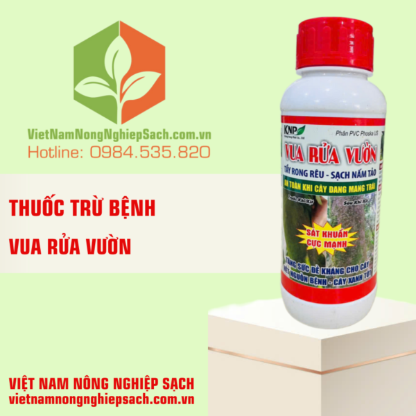 VUA RỬA VƯỜN