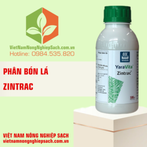 ZINTRAC YARA VITA