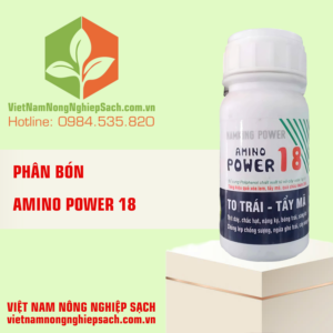 AMINO POWER 18