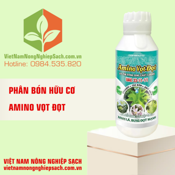 AMINO VỌT ĐỌT