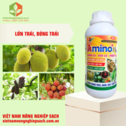 AMINO+PLUS (2)