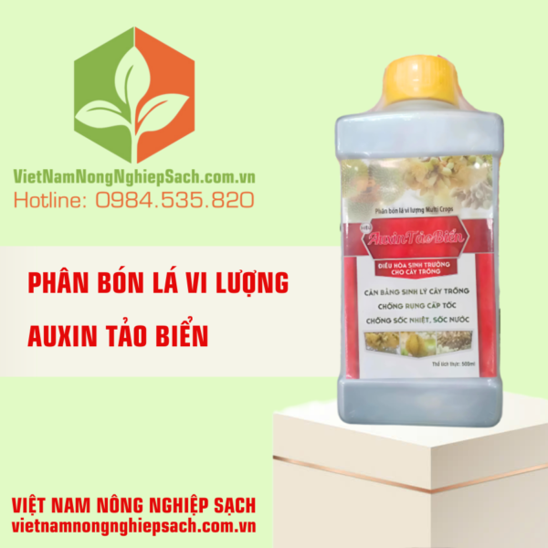 AUXIN TẢO BIỂN