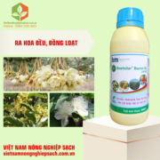 BASFOLIAR BORON SL (3)