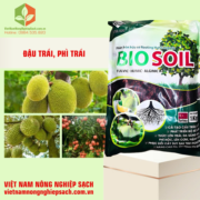 BIO SOIL (2)