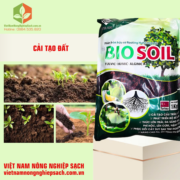 BIO SOIL (3)