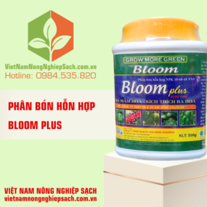 BLOOM PLUS