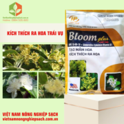 BLOOM PLUS (3)