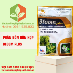 BLOOM PLUS