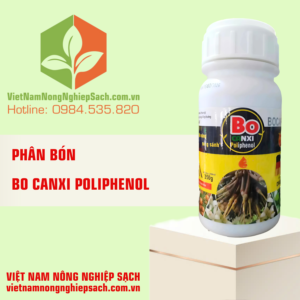 BO CANXI POLIPHENOL