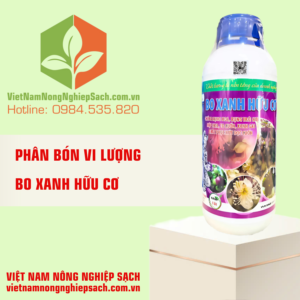 BO XANH HỮU CƠ