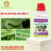 BẠCH TƯỢNG 64EC - HIỆU EMATRIN Á CHÂU (2)