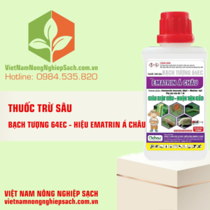 BẠCH TƯỢNG 64EC - HIỆU EMATRIN Á CHÂU