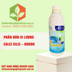 CALCI SILIC – BORON