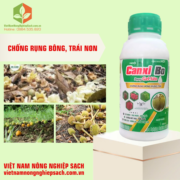 CANXI BO DẠNG GEL SỮA (2)