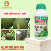 CANXI BO DẠNG GEL SỮA (3)