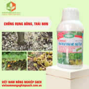 CANXI SOLUBOR SỮA (2)