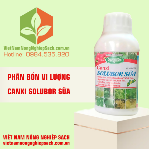 CANXI SOLUBOR SỮA