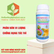 CHỐNG RỤNG TỨC THÌ
