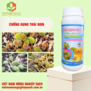 CHỐNG RỤNG TỨC THÌ (2)