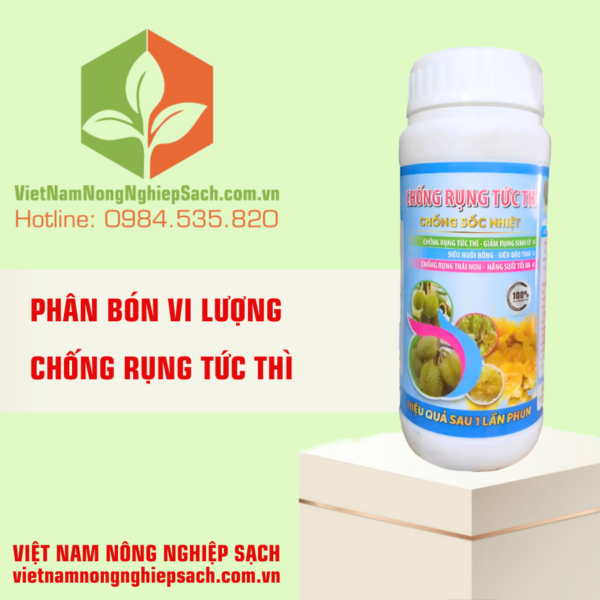 CHỐNG RỤNG TỨC THÌ