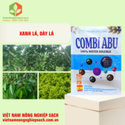 COMBI ABU (2)