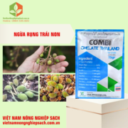 COMBI CHELATE THAILAND (3)