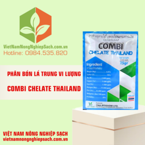 COMBI CHELATE THAILAND