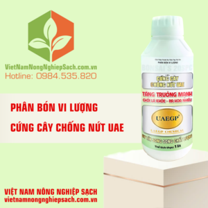 CỨNG CÂY CHỐNG NỨT UAE