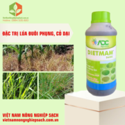 DIETMAM 360EC (3)