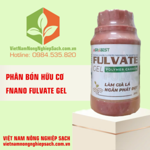 FNANO FULVATE GEL