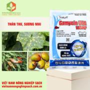 GAMYCIN USA 185WP (2)