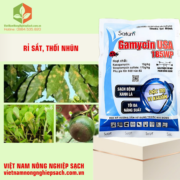 GAMYCIN USA 185WP (3)