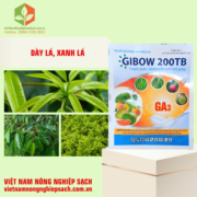 GIBOW 200TB (2)