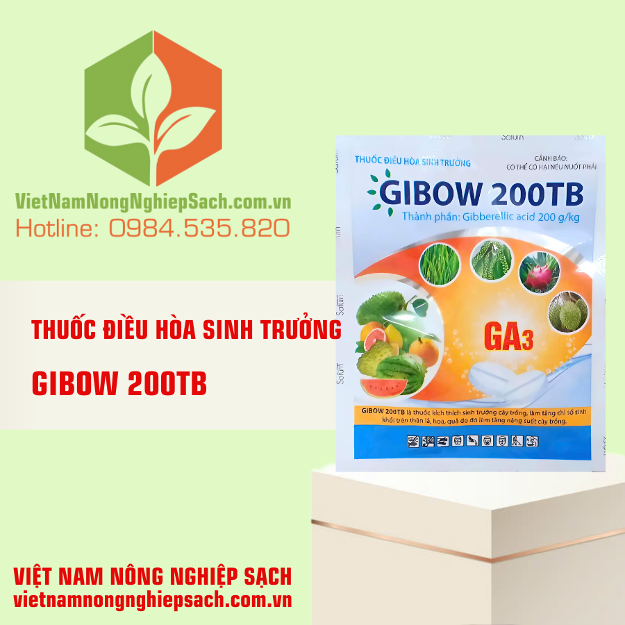 GIBOW 200TB