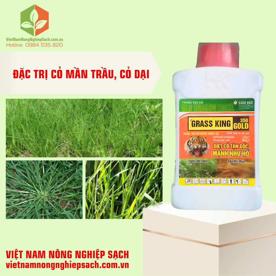 GRASS KING GOLD 350 (2)