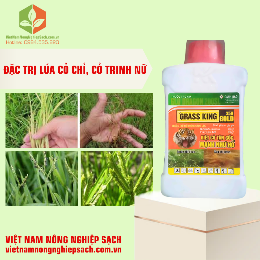GRASS KING GOLD 350 (3)