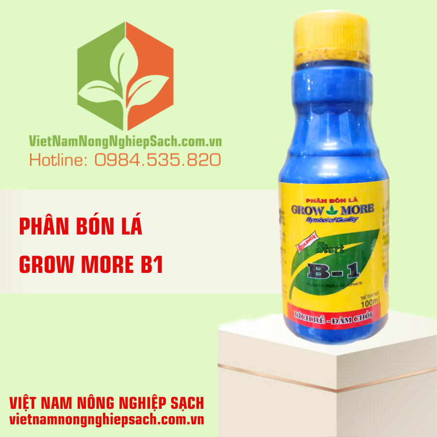 GROW MORE B1